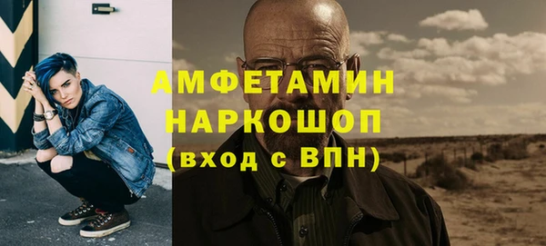 индика Алексин