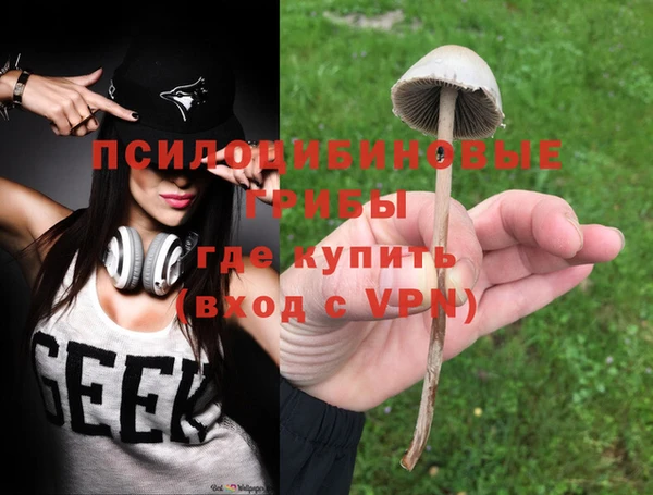 винт Алексеевка