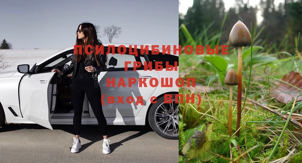 индика Алексин