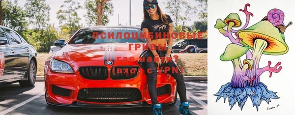 винт Алексеевка